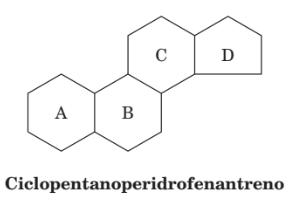ciclopentanoperidrofenantreno.png