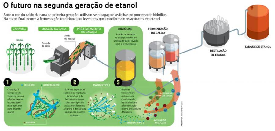 bioenergia1.jpg