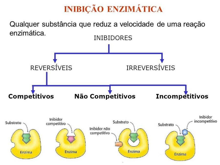 inibicao_enzimatica_reversiveis_irreversiveis.1593993446.jpg